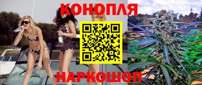 гидропоника Пугачёв